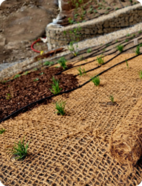 agriculture